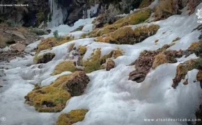 619890325 1549572009964547 7853150734366073924 n 290x180 jpg