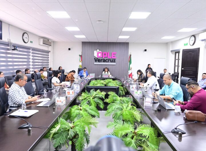 BOLETIN 13 DEBATE VIRTUAL TAMIAHUA