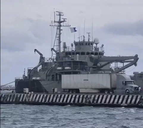 IMG 0495 481x430 jpeg