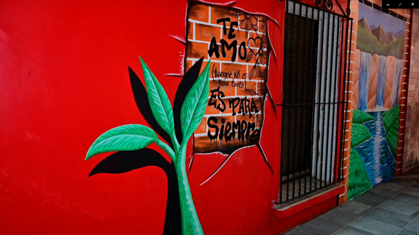 Inaugura Beto Cobos nuevos atractivos turísticos en centro de Alvarado MURAL3