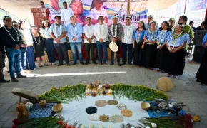 NOV20FEB2026EBH1 290x180 jpeg