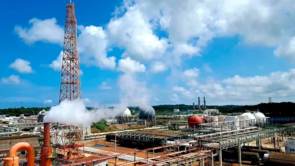 Pajaritos 590x332 jpg