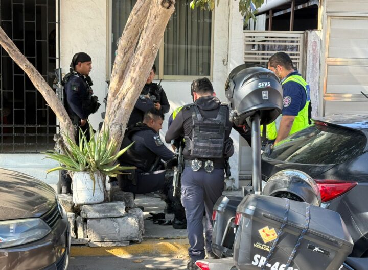 WhatsApp Image 2026 02 19 at 6.13.30 PM