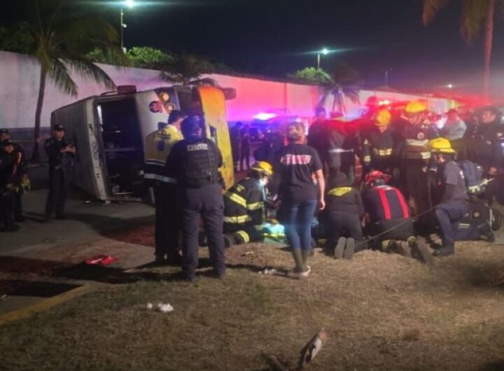 WhatsApp Image 2026 02 24 at 3.49.13 PM