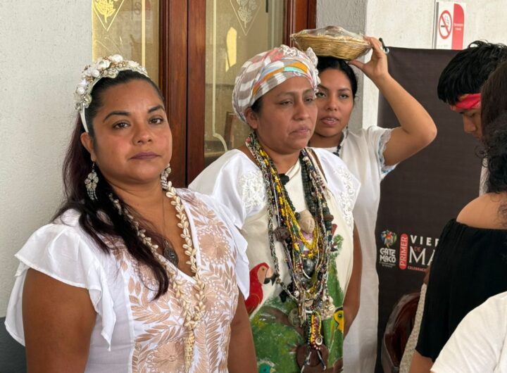 WhatsApp Image 2026 02 27 at 6.57.10 PM2