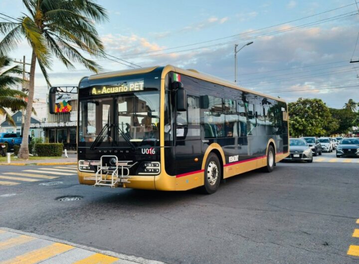 camiones ulua registran cuatro accidentes durante primera etapa de operacion 684222