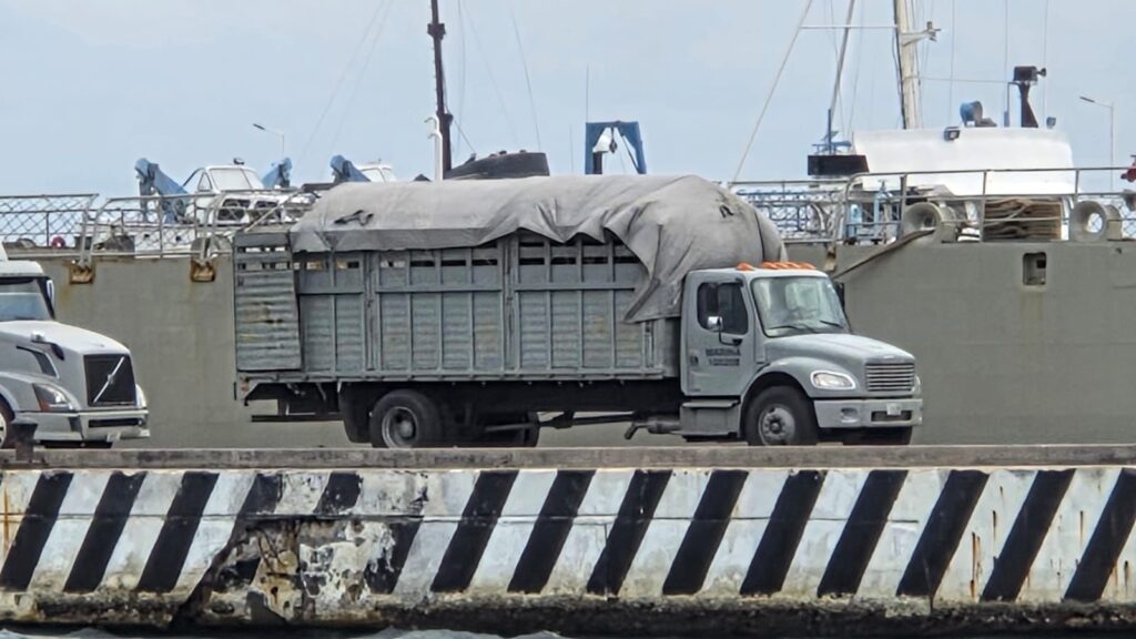 e6277f99 38bb 403c aa81 7b809577bff4