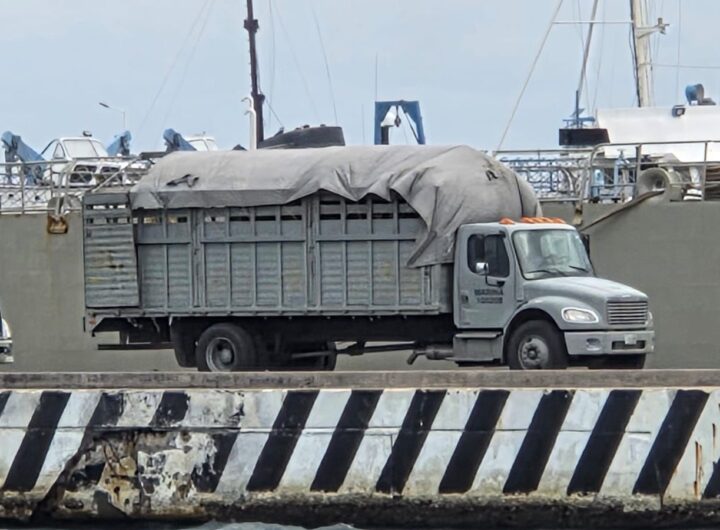 e6277f99 38bb 403c aa81 7b809577bff4