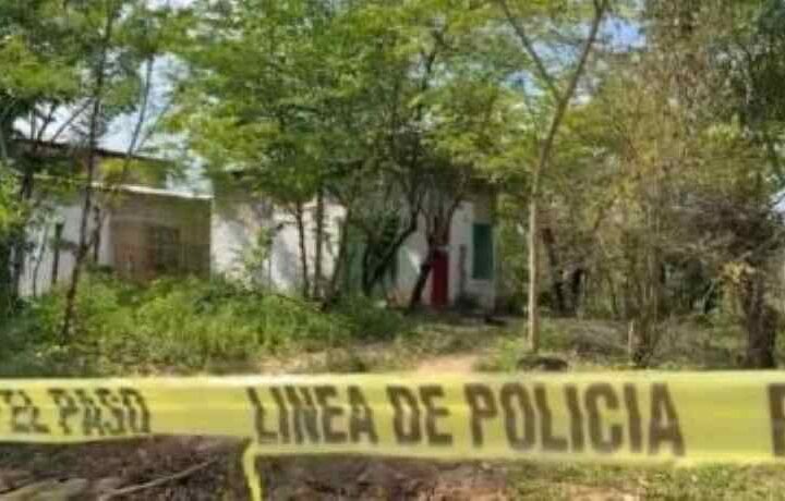 f425x230 138988 152970 5050