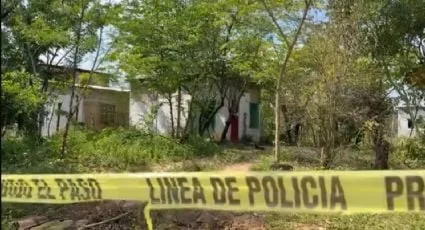 f425x230 138988 152970 5050 jpeg