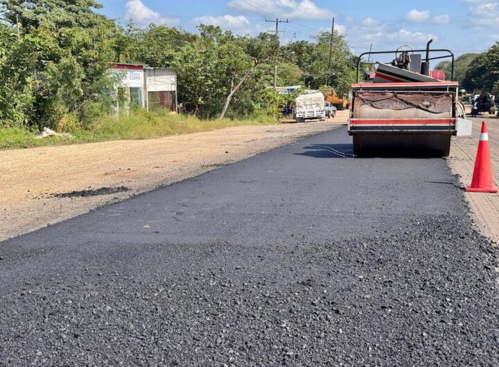 obras carreteras del Papaloapan y Los Tuxtlas1
