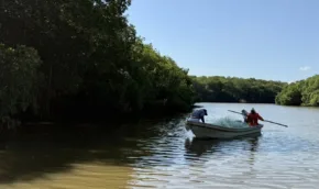 turismo alvarado n e1770012270345