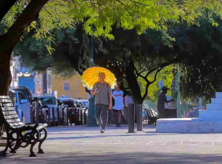 43QJ5GYKJZF7NKONAT4NXBDJPE