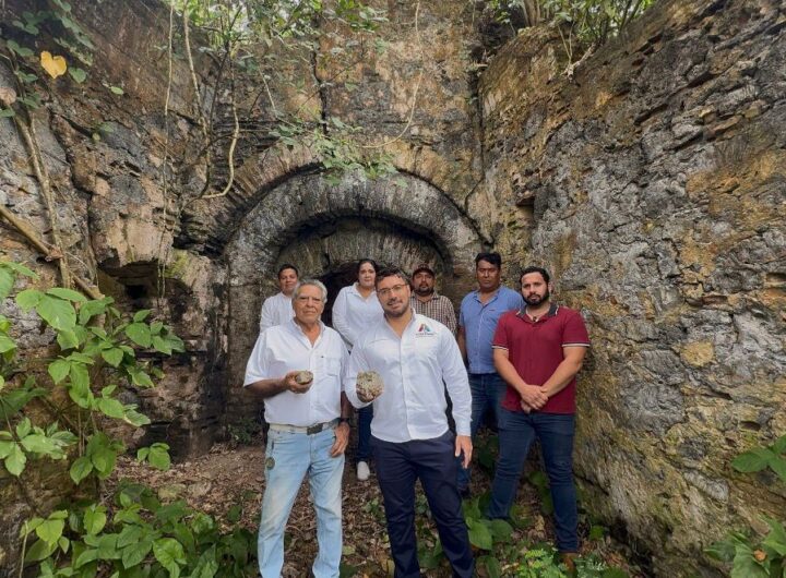 WhatsApp Image 2026 03 03 at 6.23.47 PM