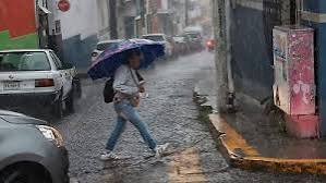 El grueso del número de viviendas afectadas se concentra en el municipio de Álamo Temapache, al norte de la entidad, con mil 590 viviendas afectadas por anegamientos en 19 colonias y cuatro localidades, tras el desbordamiento de los arroyos El Ídolo y Oro Verde.